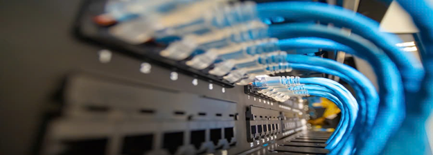 Lắp đặt mạng nội bộ công ty vừa và nhỏ